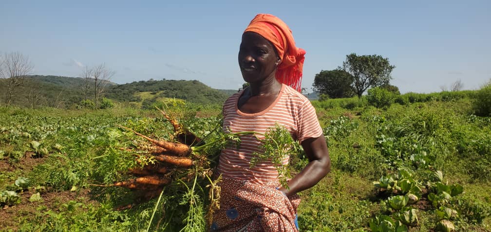 Read more about the article Climate-Smart Agriculture Empowers Koinadugu Women, Boosts Yields and Financial Security