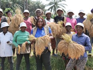 Read more about the article Bumper Harvest Brings Smiles to Gbotima Farmers